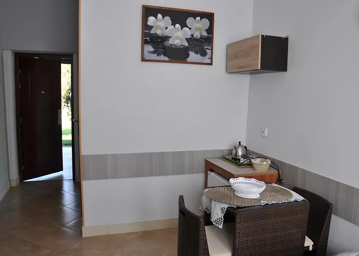 Nr 61 Kemping Elbląg